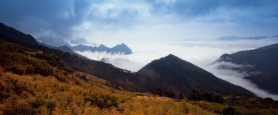 冷山 (1)1.jpg